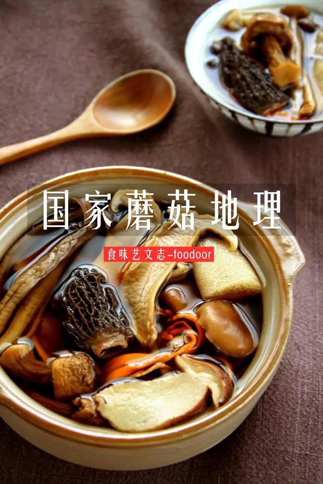 國家蘑菇地理：中國哪里的蘑菇最好吃？