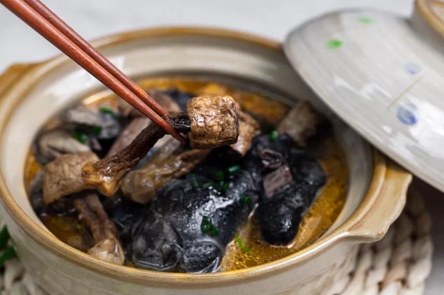 國家蘑菇地理：中國哪里的蘑菇最好吃？