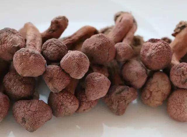 國家蘑菇地理：中國哪里的蘑菇最好吃？