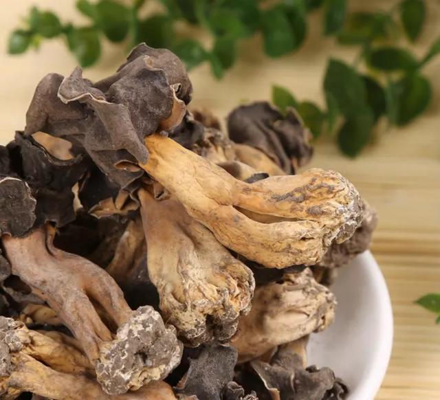 國家蘑菇地理：中國哪里的蘑菇最好吃？